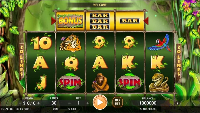 Getting started with King of the Jungle Slots